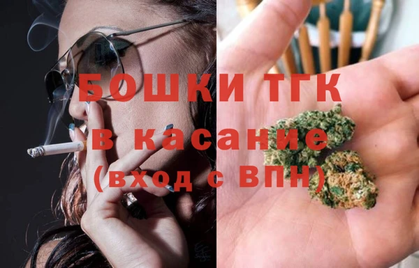 сатива Волосово