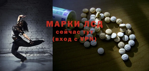 мяу мяу мука Покачи