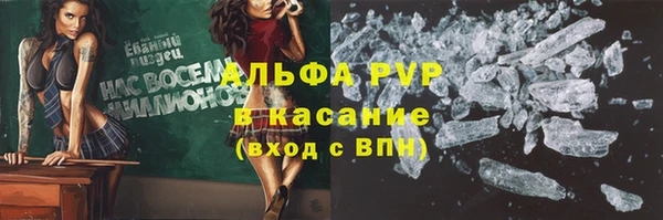 сатива Волосово
