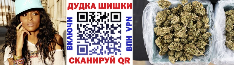 Бошки марихуана Ganja  как найти закладки  Новодвинск 